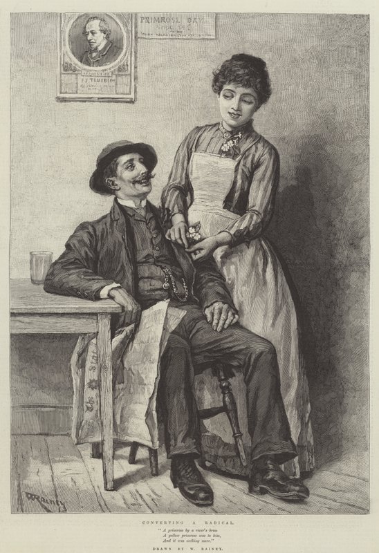 Radikal Dönüştürme by William Rainey