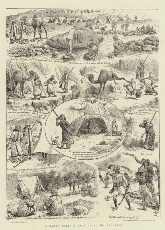 Bir Deve Masalı, Sınırdan Bir Gerçek by William Ralston
