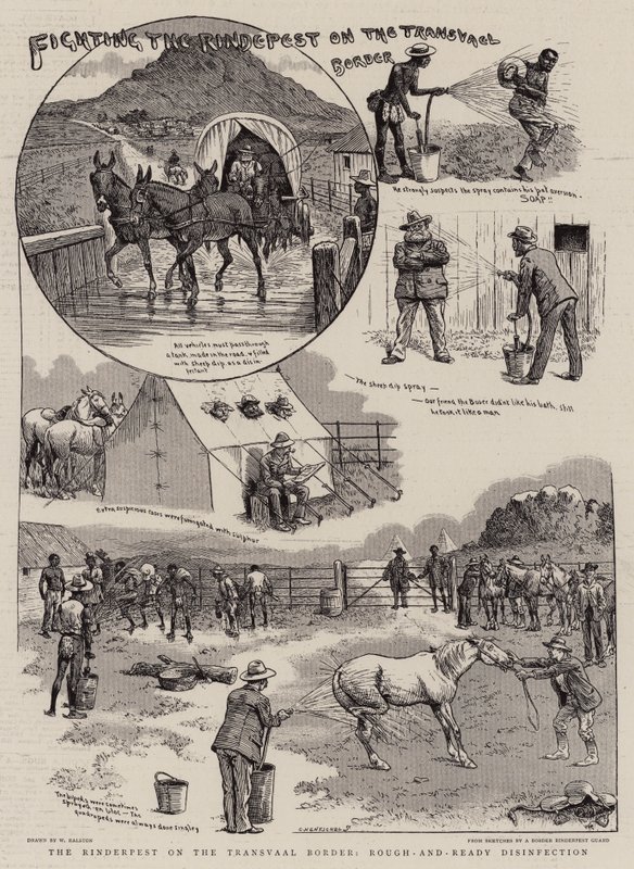 Transvaal Sınırında Sığır Vebası ile Mücadele by William Ralston