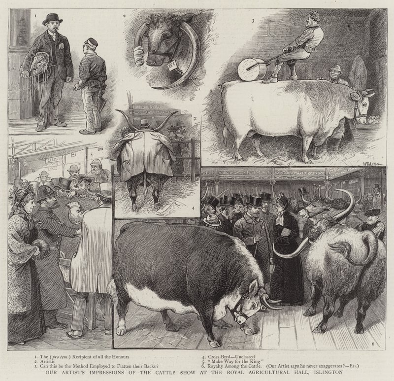 Ressamımızın Islington Kraliyet Tarım Salonundaki Sığır Gösterisinden İzlenimleri by William Ralston