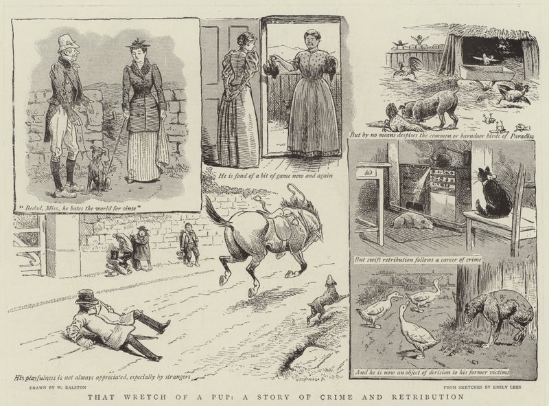 O Wretch of the Pup, Bir Suç ve İntikam Hikayesi by William Ralston