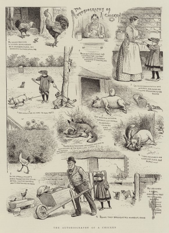 Bir Tavuğun Otobiyografisi by William Ralston