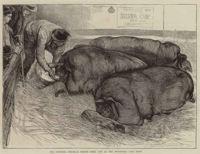 Son Bir Dokunuş, Smithfield Club Show'da Yaşamdan Bir Eskiz by William Small