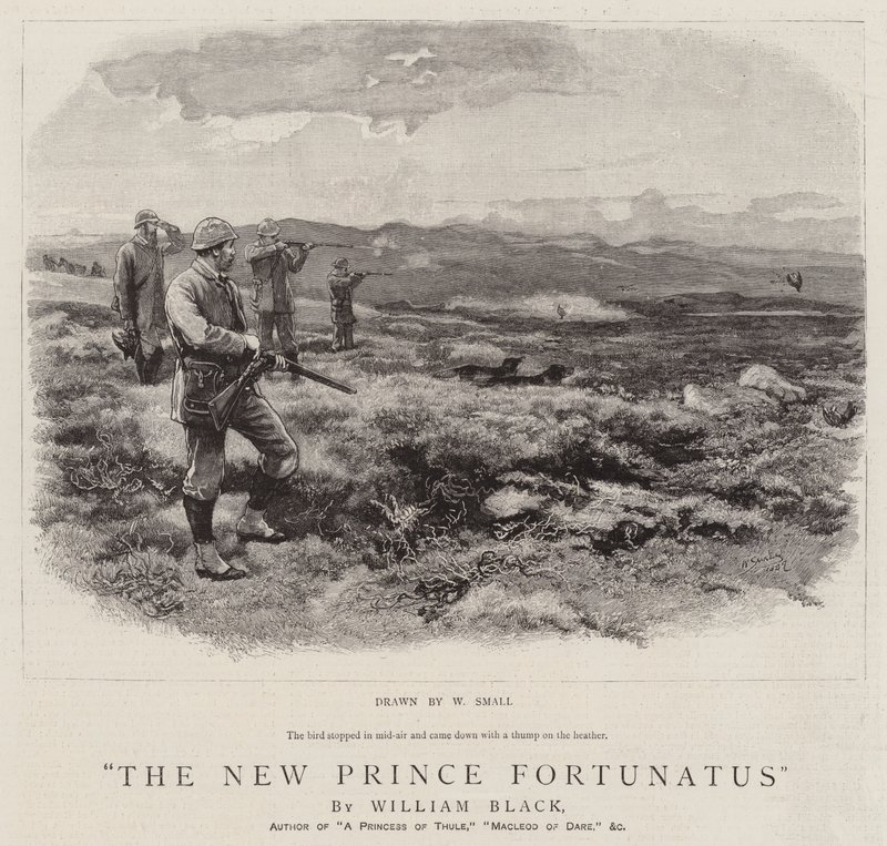 Yeni Prens Fortunatus by William Small