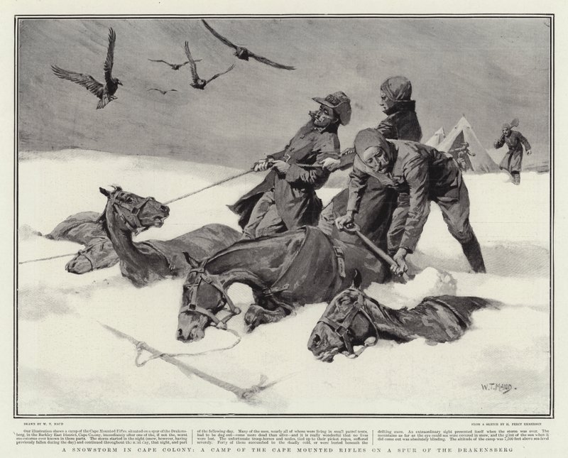 A Snowstorm in Cape Colony, a Camp of the Cape Mounted Rifles on a Spur of the Drakensberg  by William T. Maud