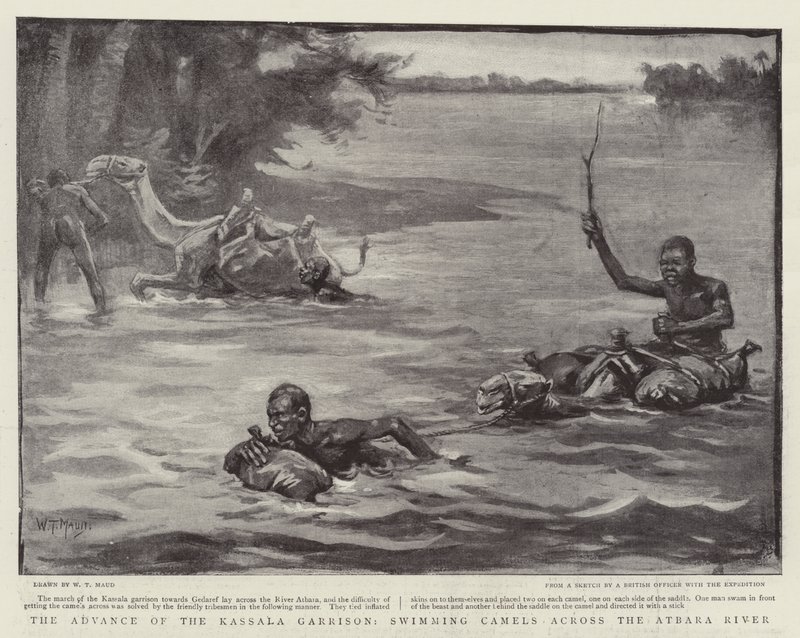 Atbara Nehri boyunca Develer yüzen Kassala Garnizonunun İlerlemesi by William T. Maud