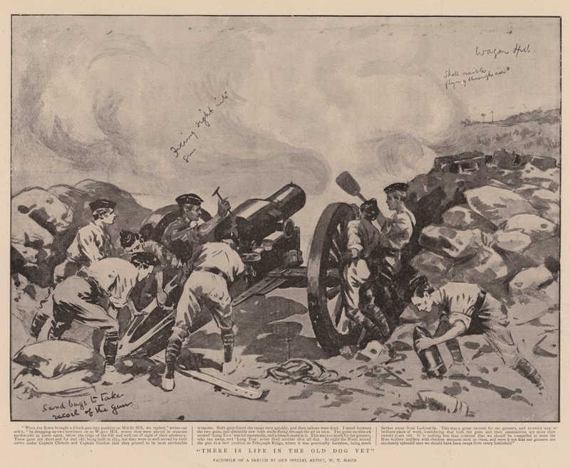 Yaşlı Köpekte Henüz Hayat Var by William T. Maud