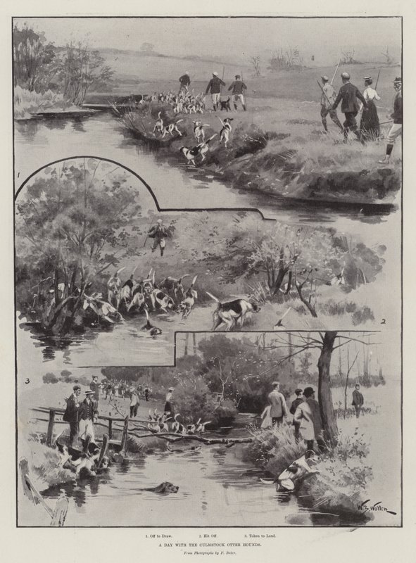 Culmstock Otter Hounds ile Bir Gün by William Barnes Wollen
