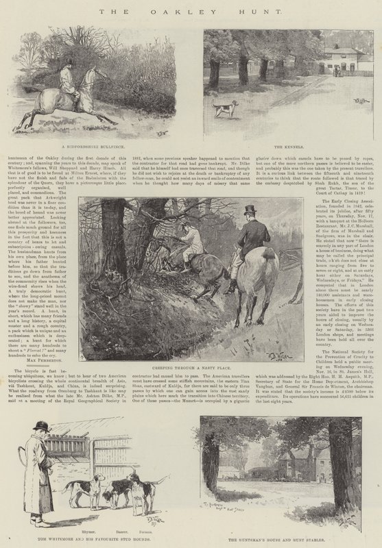Oakley Avı by William Barnes Wollen