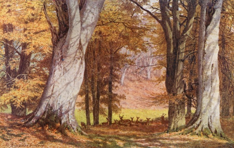  by William Biscombe Gardner