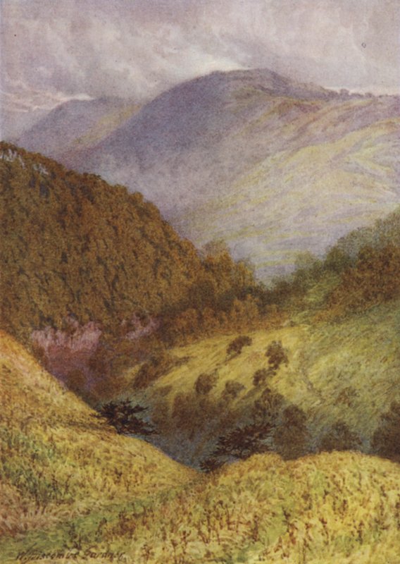 Chee Dale