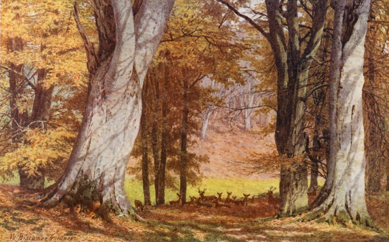  by William Biscombe Gardner