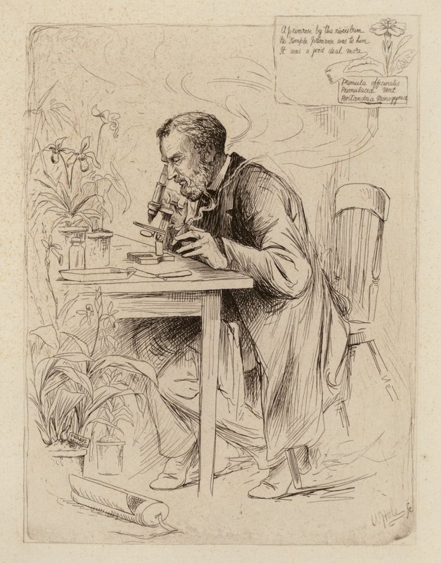  by William Brassey (after) Hole