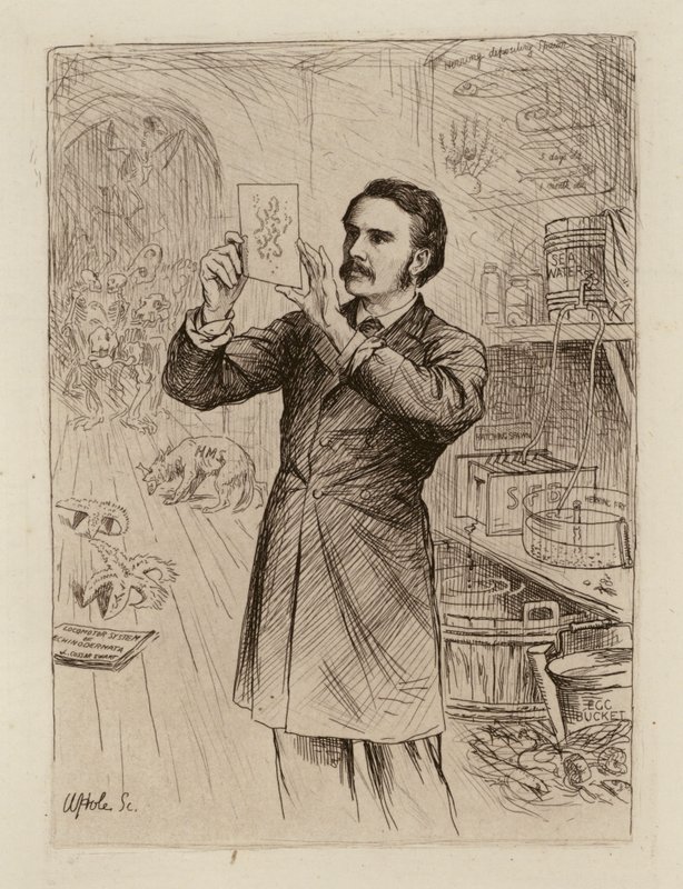  by William Brassey (after) Hole