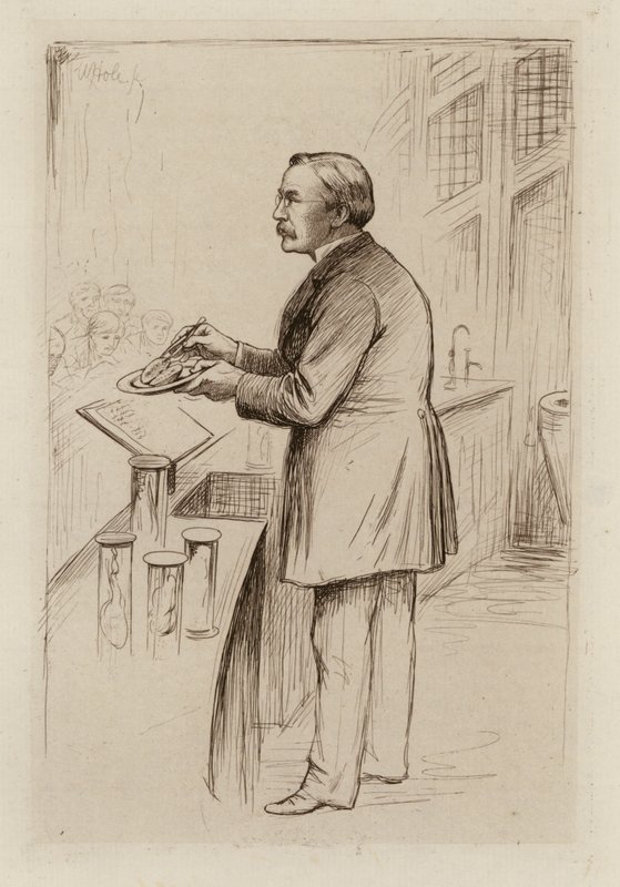 by William Brassey (after) Hole