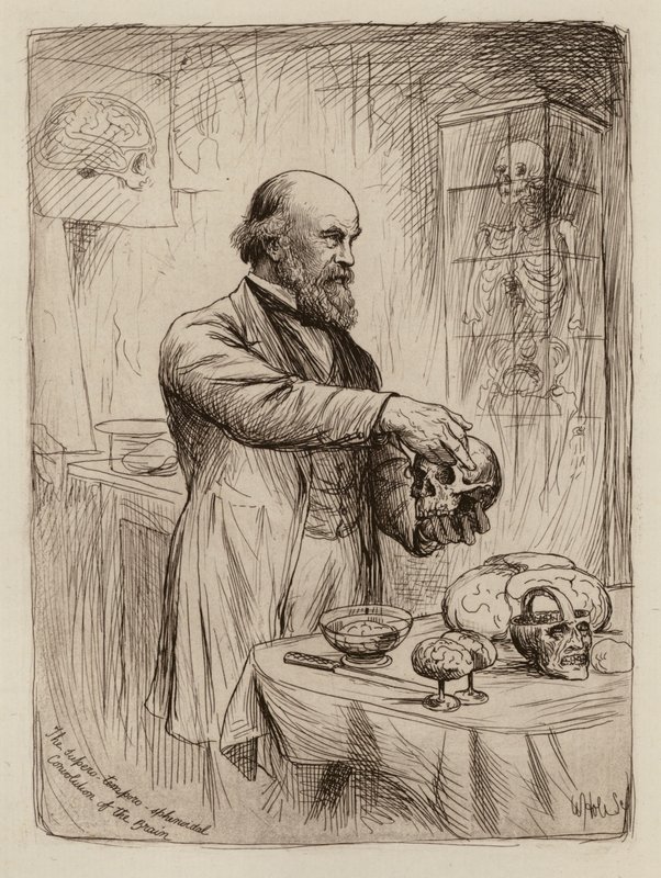  by William Brassey (after) Hole