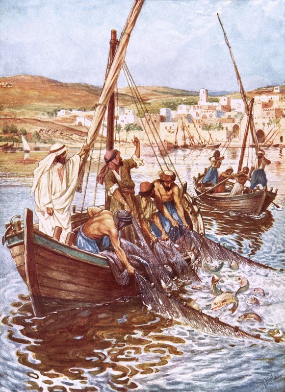 Çok sayıda balık by William Brassey Hole