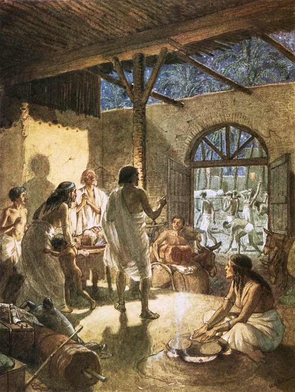 Mısır