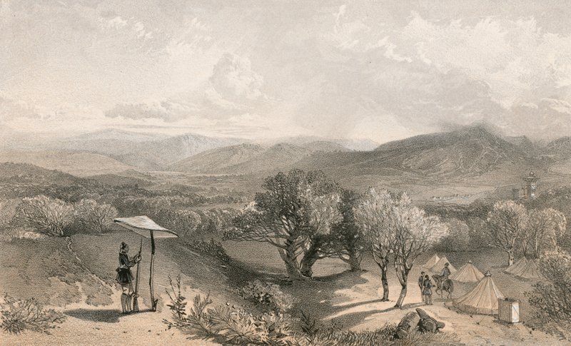 Doğuya bakan Petroski