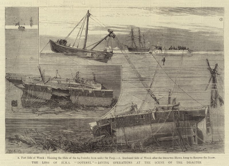 HMS Doterel