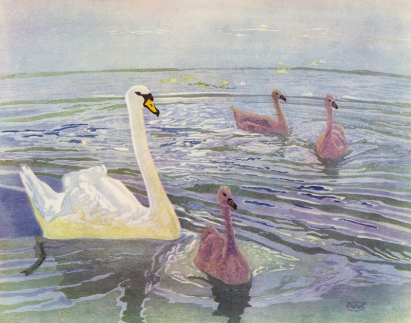 Kuğu ve Kuğular (renkli taş) by William Giles