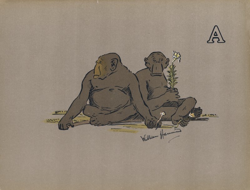 A Harfi, Anormal Bir Şekilde Kayıtsız Tutumları Benimseyen Estetik Antropoid Maymunlar (renkli lito) by William Hammond