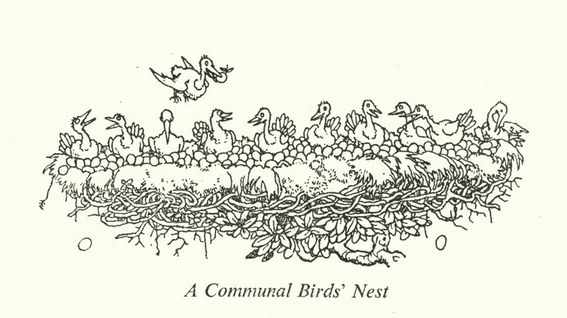 Ortak Kuş Yuvası (taş) by William Heath Robinson