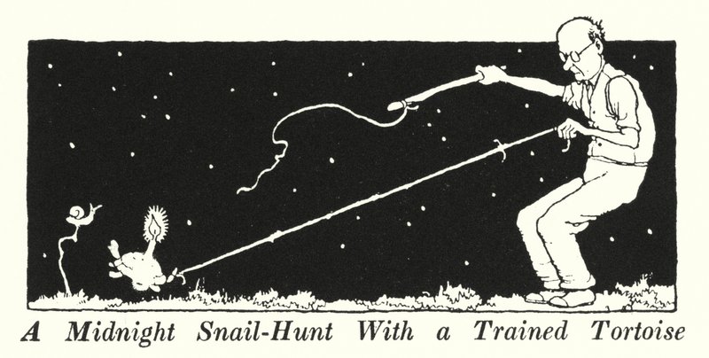 Eğitimli Kaplumbağa ile Gece Yarısı Salyangoz Avı by William Heath Robinson