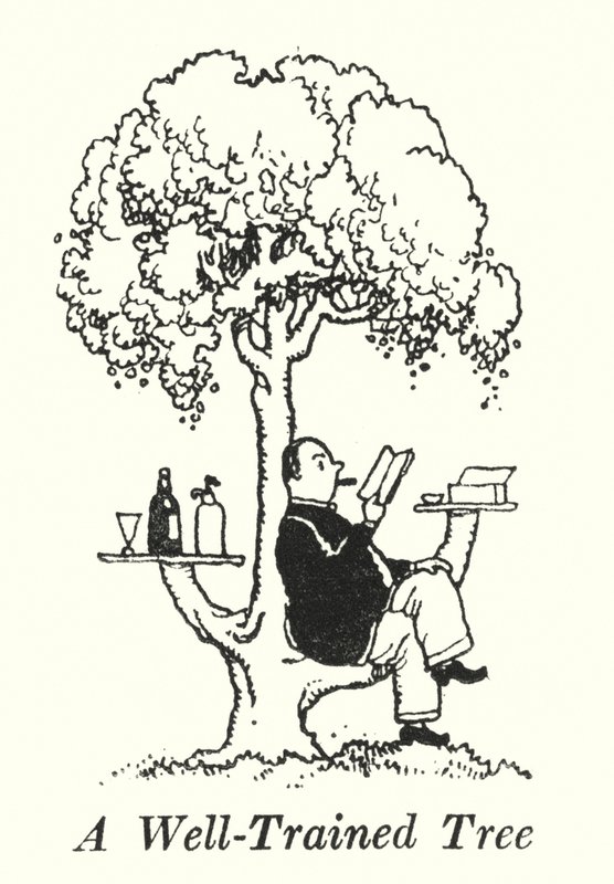 İyi Eğitimli Bir Ağaç (lito) by William Heath Robinson