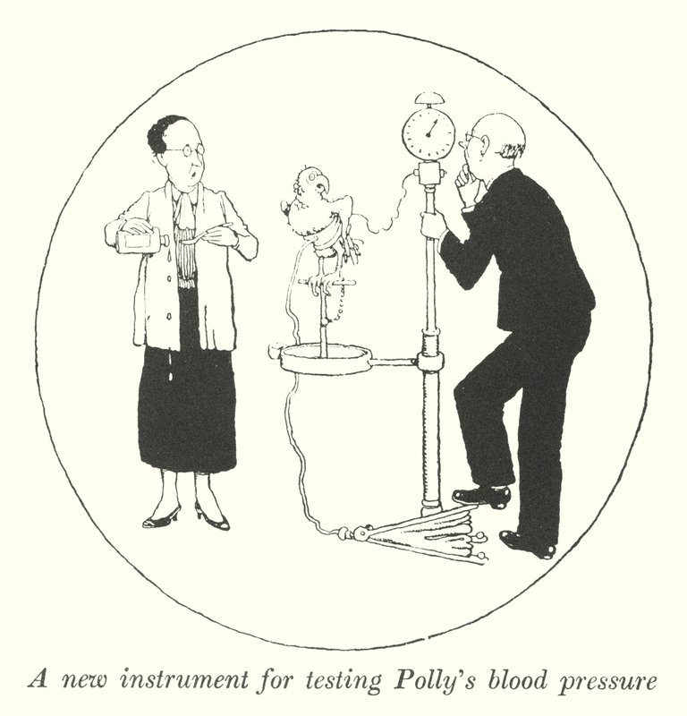 Polly