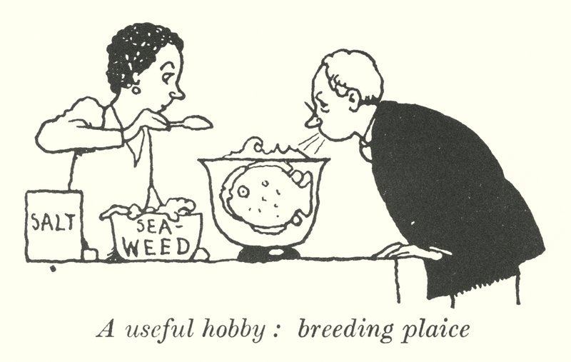 Yararlı bir hobi, üreme pisliği (lito) by William Heath Robinson