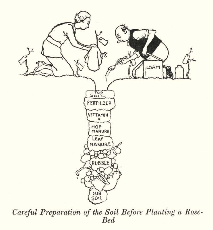 Bir Gül Yatağı (Lito) Dikmeden Önce Toprağın Dikkatli Hazırlanması by William Heath Robinson