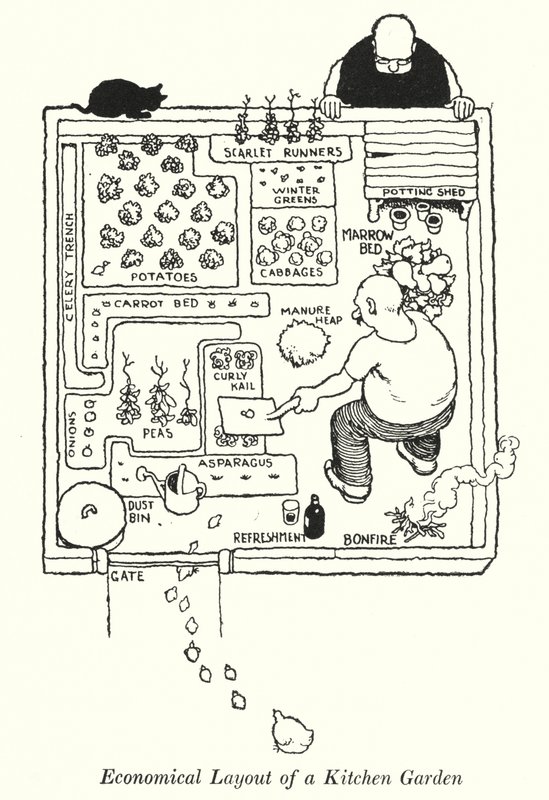 Bir Mutfak Bahçesinin Ekonomik Düzeni (litho) by William Heath Robinson