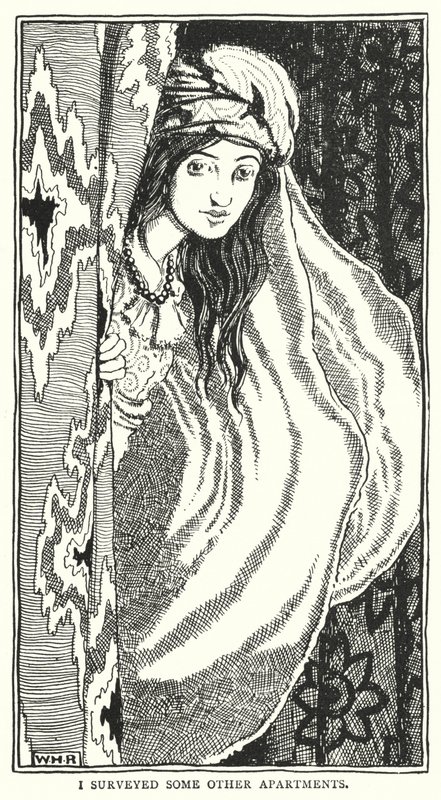 Diğer bazı daireleri araştırdım (gravür) by William Heath Robinson