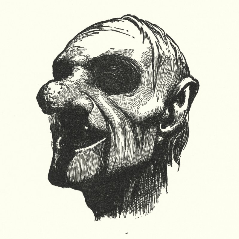 Rabelais