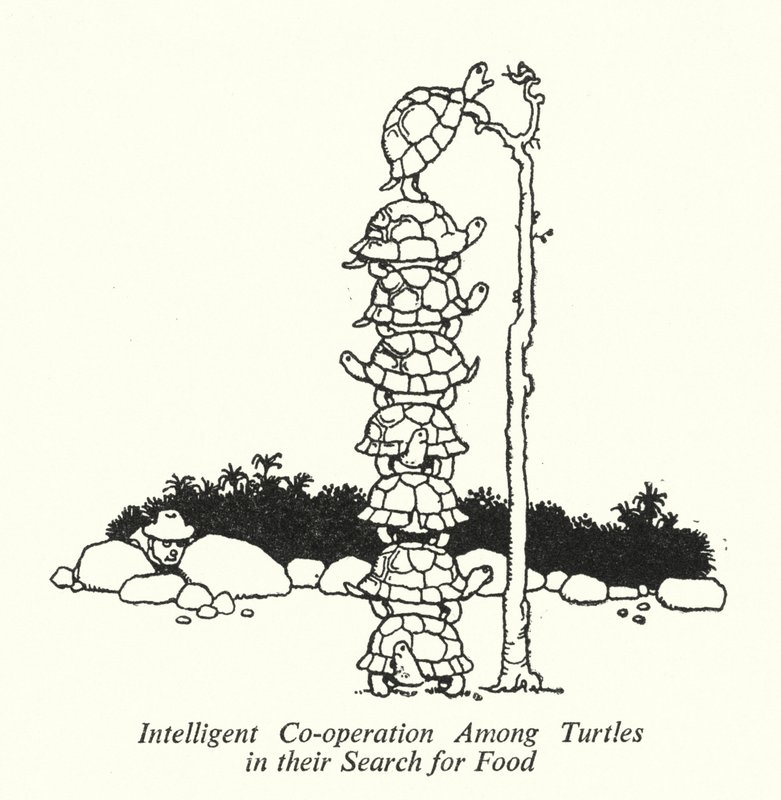 Yiyecek Aramalarında Kaplumbağalar Arasında Akıllı İşbirliği (lito) by William Heath Robinson