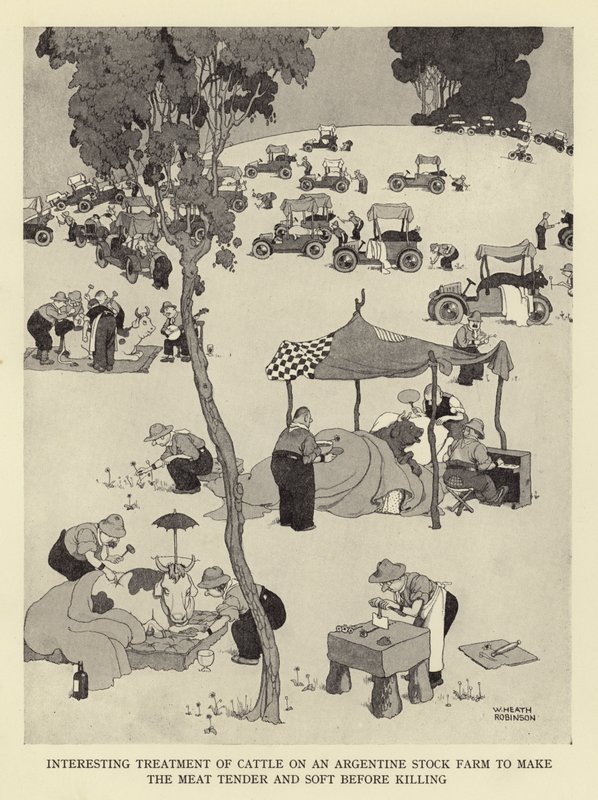 Arjantinli bir çiftlikte sığırların öldürülmeden önce yumuşak ve yumuşak olması için ilginç muamele by William Heath Robinson