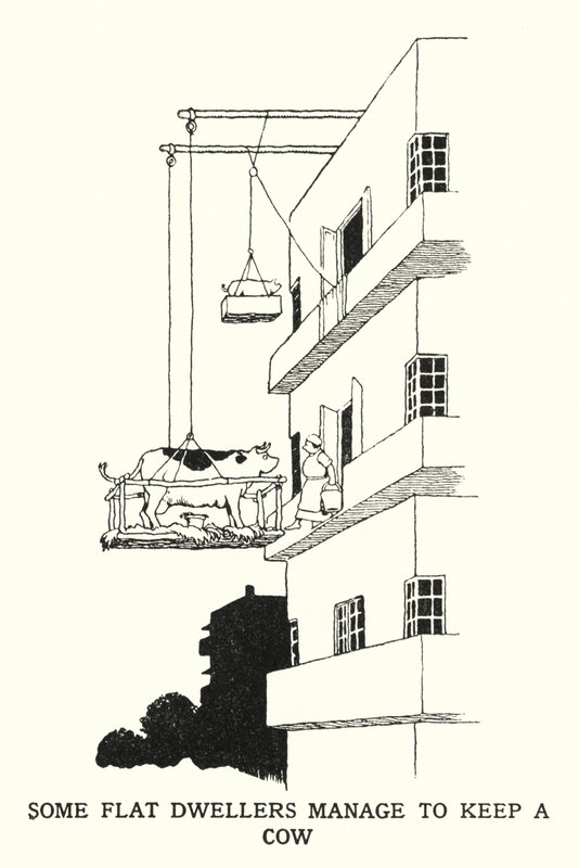 Bazı Yassı Sakinler Bir İnek Tutmayı Başarır (taş) by William Heath Robinson
