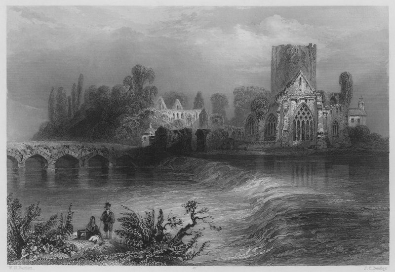 Suir