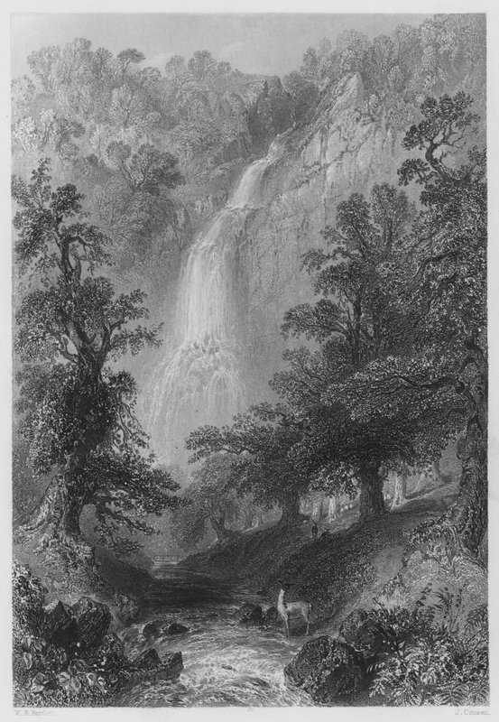Powerscourt Güz (gravür) by William Henry (after) Bartlett