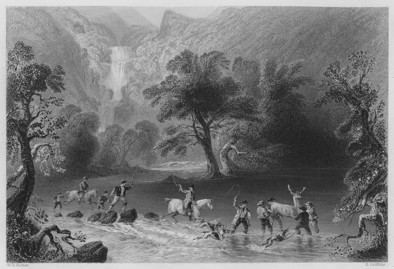 Derrycunnihy Cascade, Killarney yakınında bir Geyik alarak (gravür) by William Henry (after) Bartlett