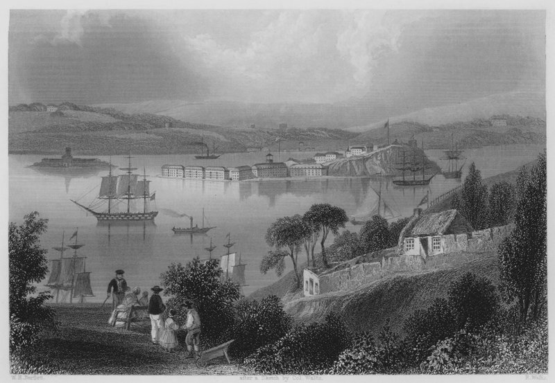 Cork Koyu, şimdi Queenstown (gravür) by William Henry (after) Bartlett