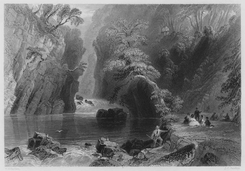 Dargle (gravür) by William Henry (after) Bartlett