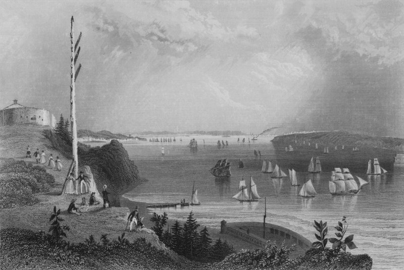 New York Körfezi, Telgraf İstasyonundan (gravür) by William Henry Bartlett