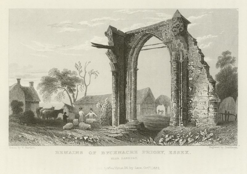 Danbury yakınlarındaki Bicknacre Manastırı, Essex kalıntıları by William Henry Bartlett