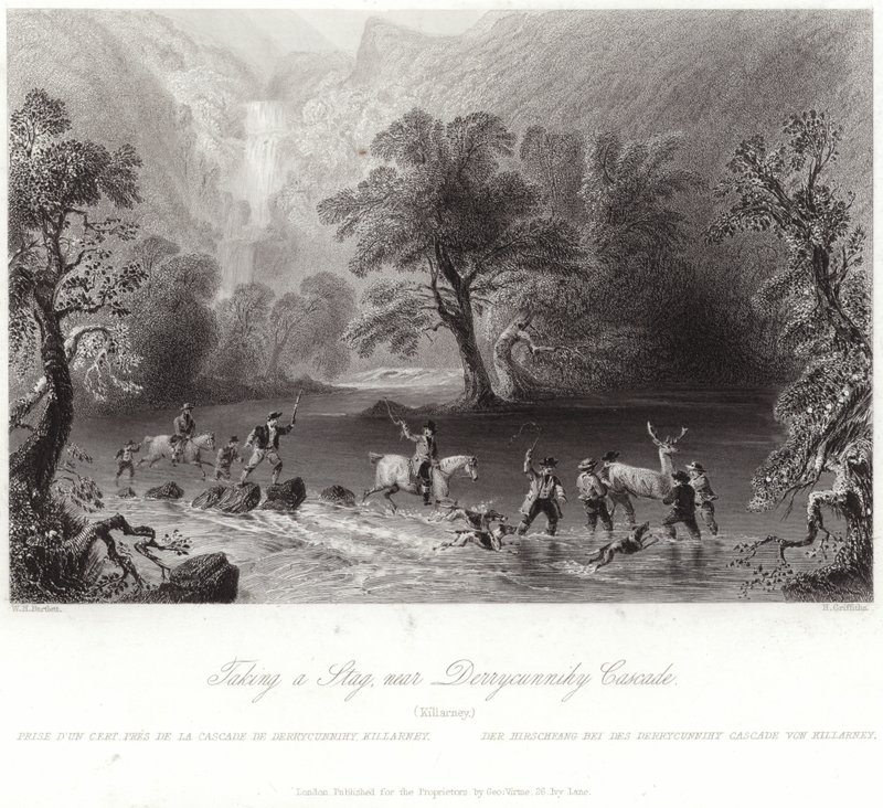 Derrycunnihy yakınlarında geyik yapmak by William Henry Bartlett