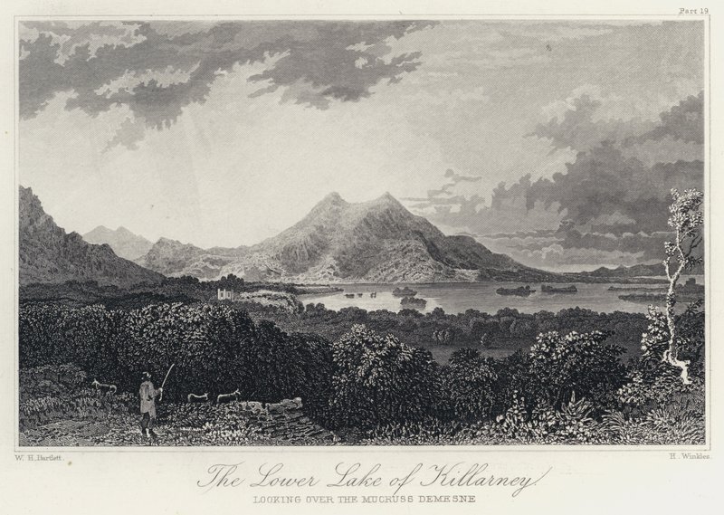 Aşağı Killarney Gölü, Mucruss Demesne