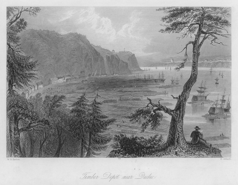Quebec yakınlarındaki Kereste Deposu (gravür) by William Henry Bartlett