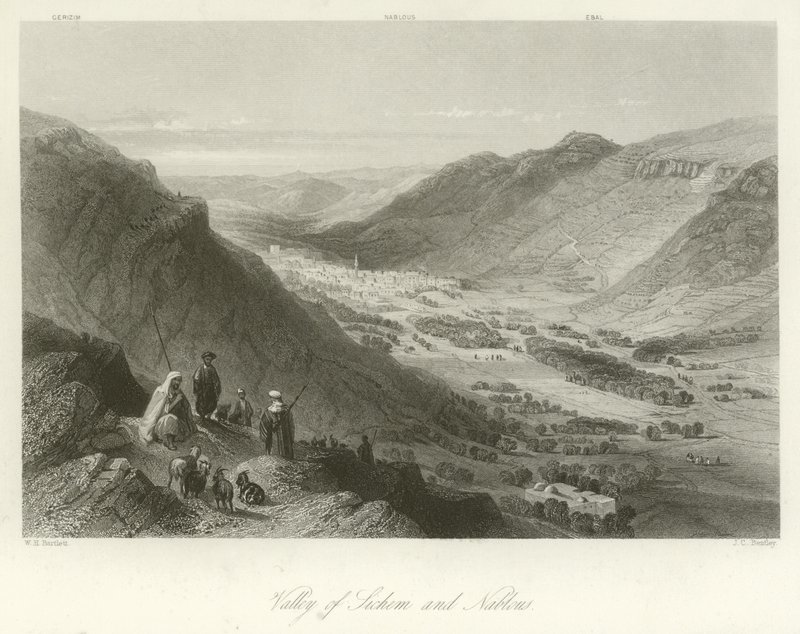 Sichem Vadisi ve Nablus, Filistin by William Henry Bartlett