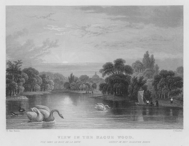 Lahey Ormanında Görüntüle (gravür) by William Henry Bartlett